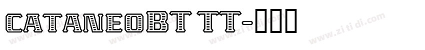 cataneoBT TT字体转换